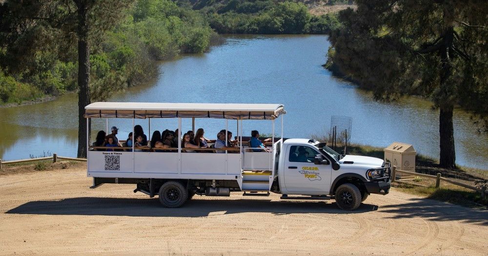 Catalina Eco-Land Adventure Safari Tram Tour
