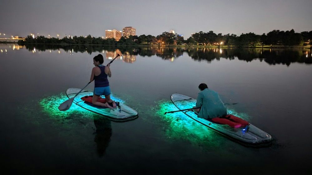 Neon Night Glow Clear Bottom Kayak Tour