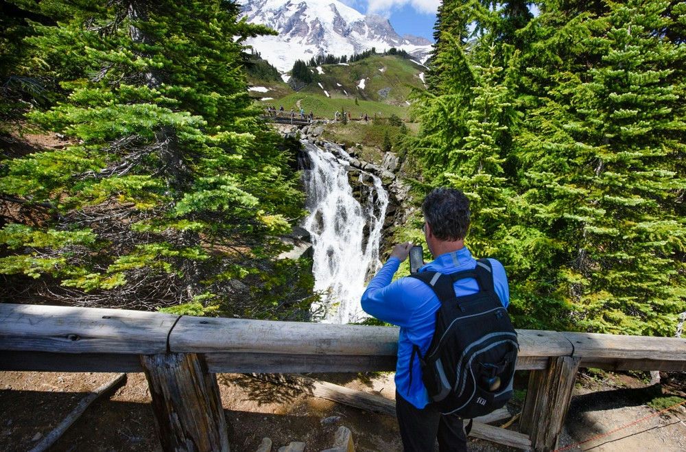 Full Day Mt. Rainier National Park Tour from Seattle