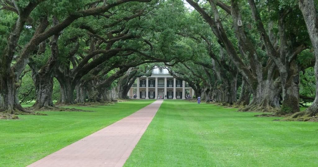 Oak Alley Plantation and Airboat Ride Swamp Tour