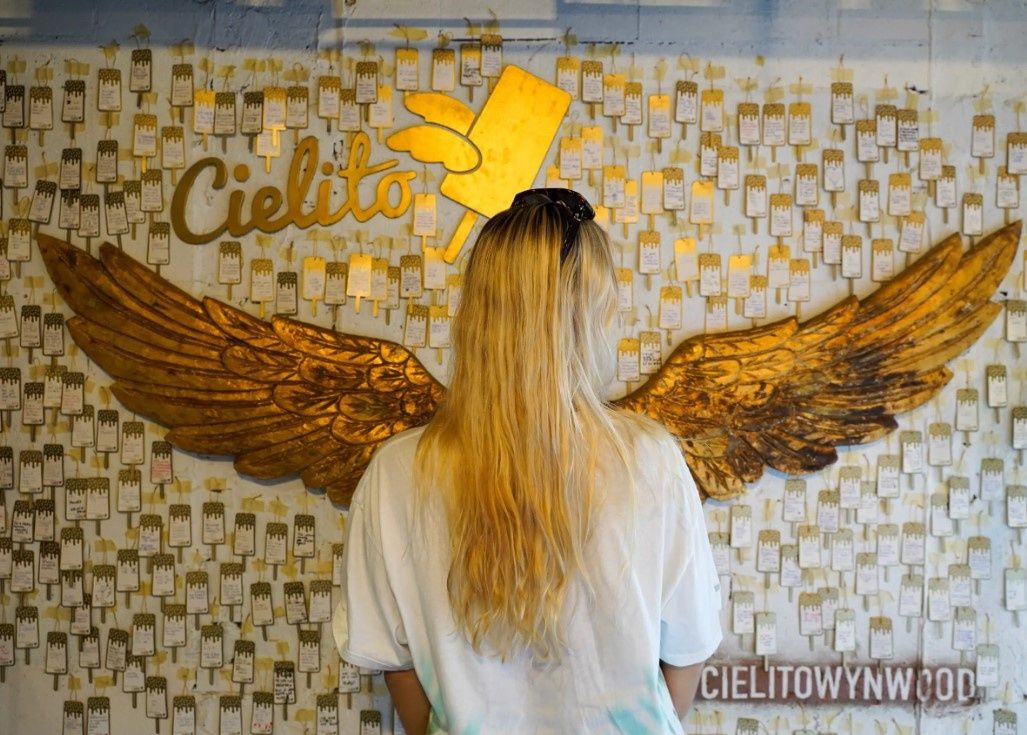 Wynwood Walls Official Tour