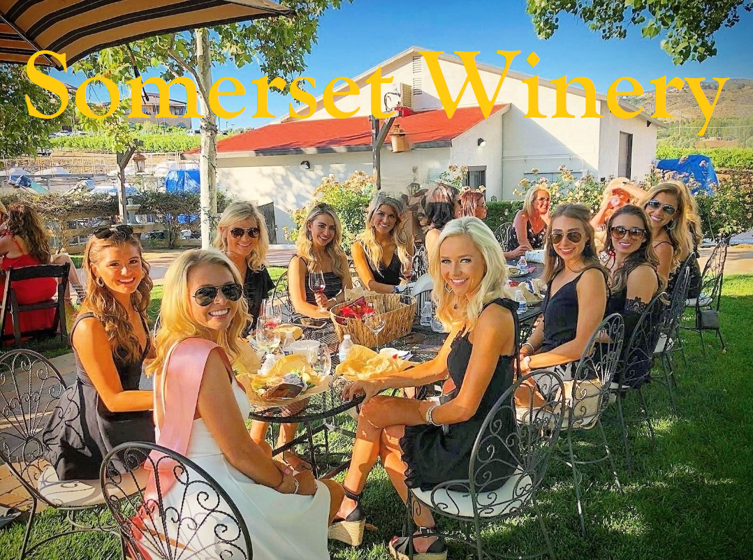 Traditional Temecula Wine Tour for 4