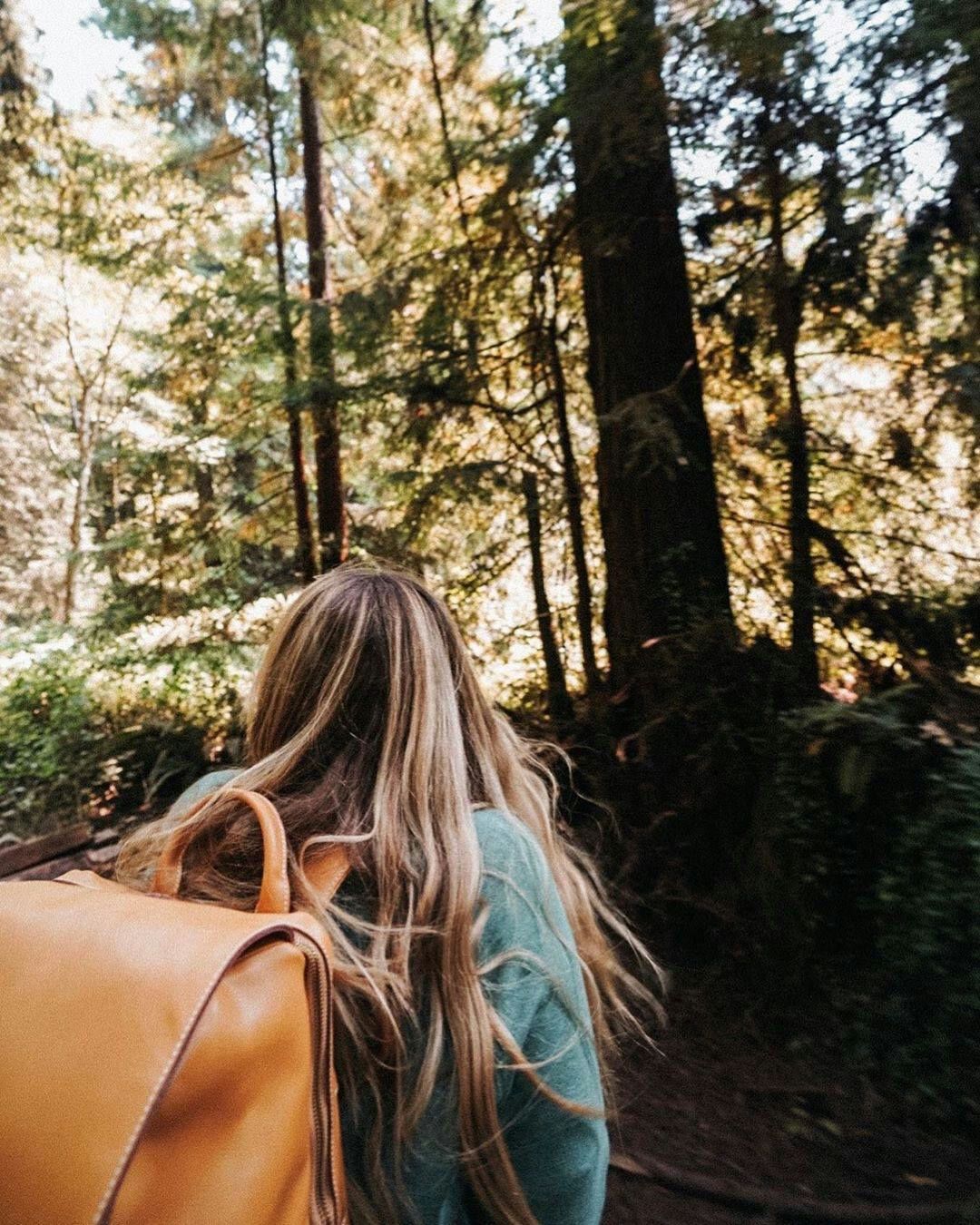 Redwood Hiking Tour and Train Ride with Picnic Lunch