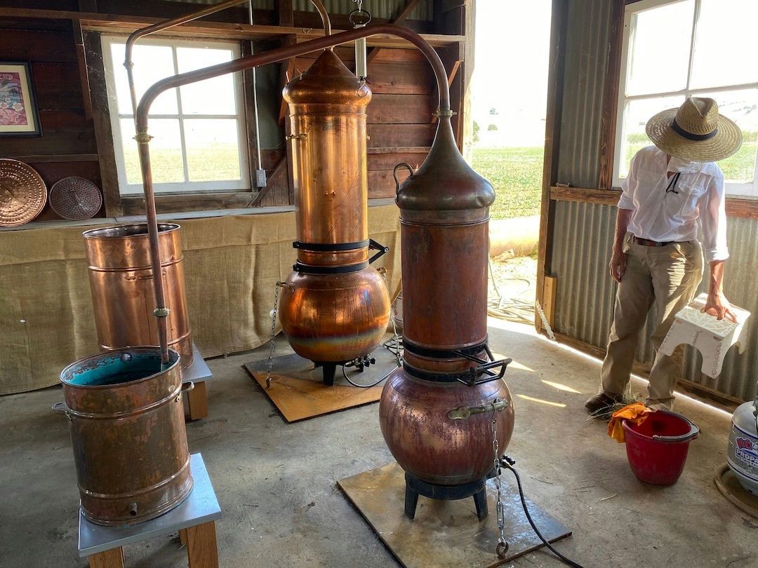 Capay Valley Farm Tour