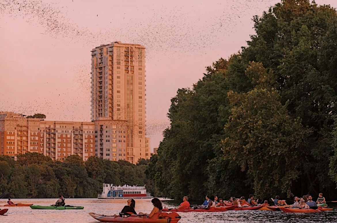 Guided Austin Sunset Bat Kayak Tour