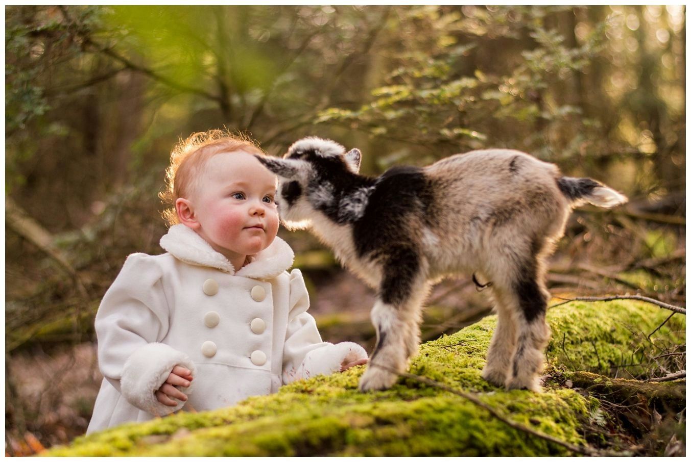 1 Hr Photo Session with Goats