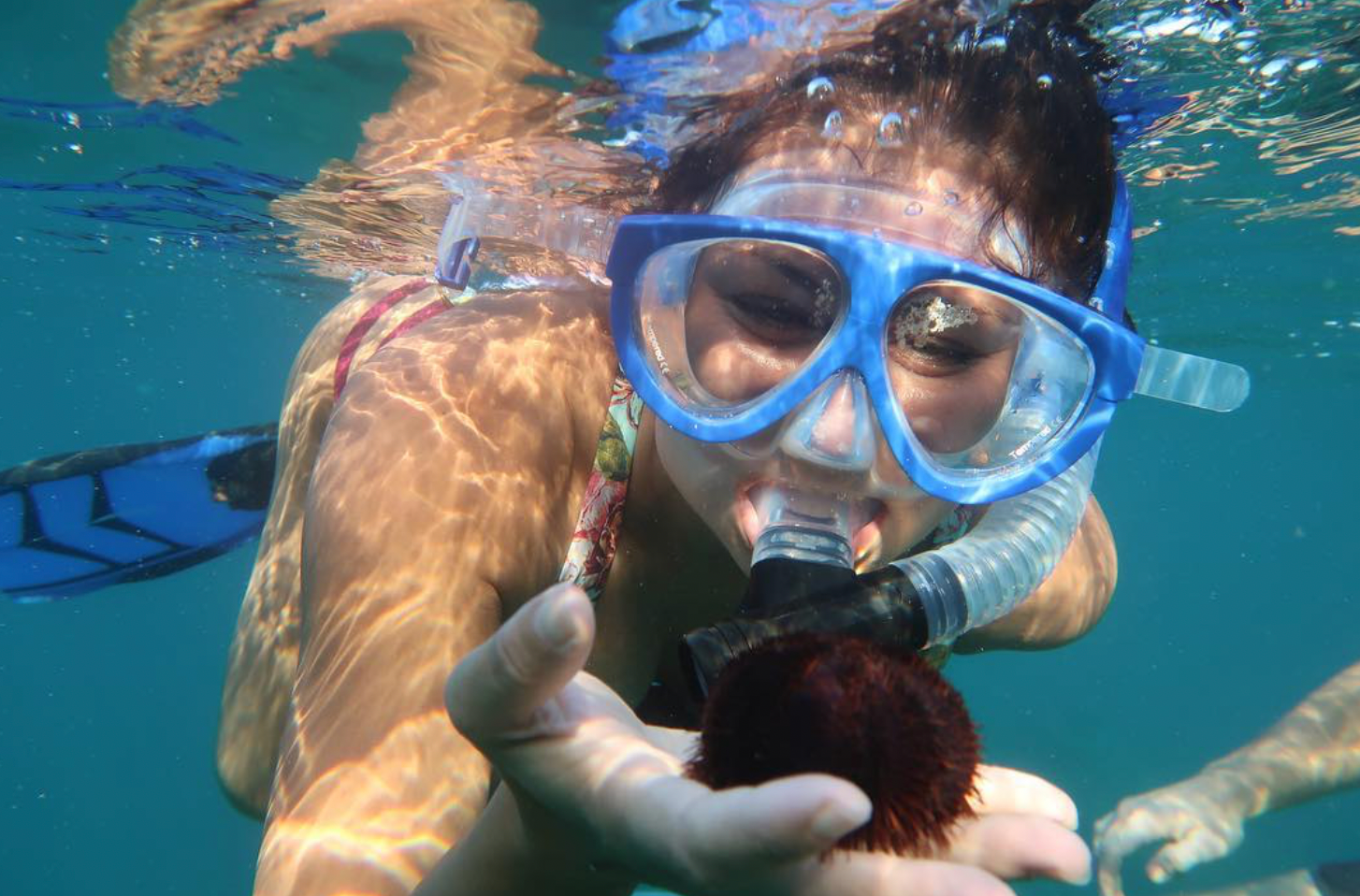 West Maui Snorkel Discovery