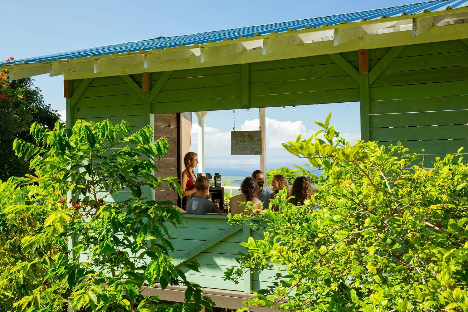 Private Kona Coffee Farm Tour For Up To 4