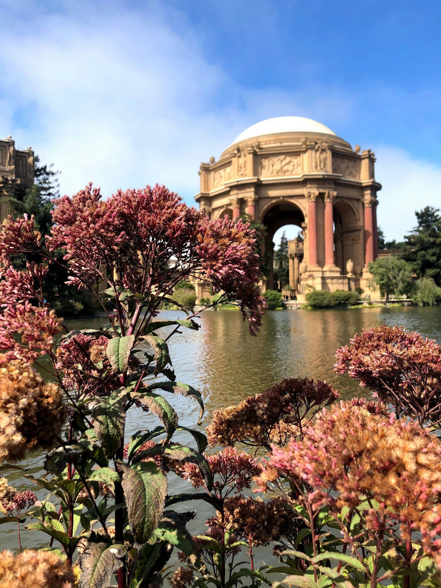Private Walking Tour of Cow Hollow
