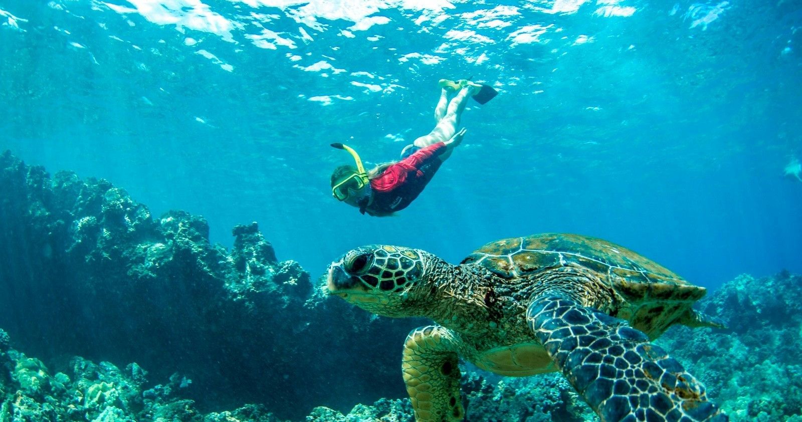 Morning Snorkel in Maui