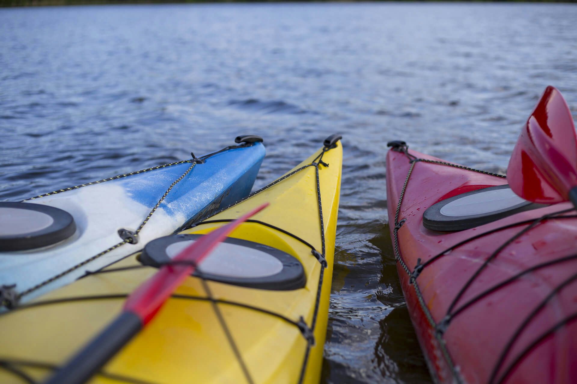 Hilton Head Kayak and Coffee Tour