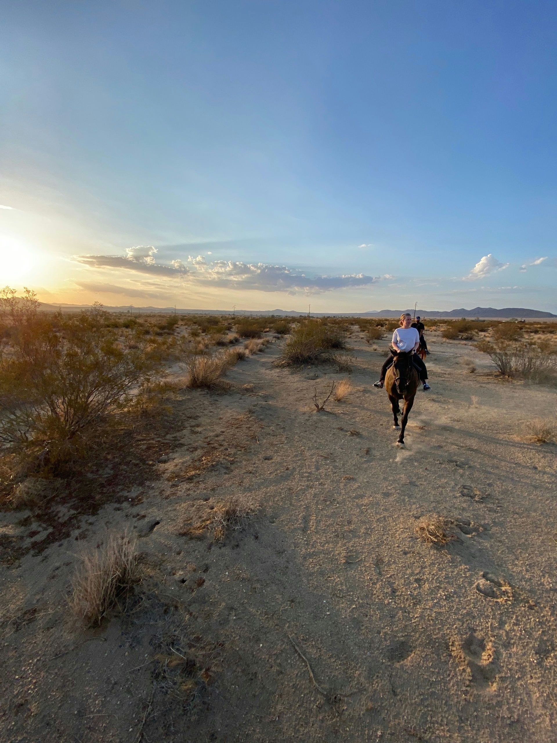 Joshua Tree Horseback Trail Ride