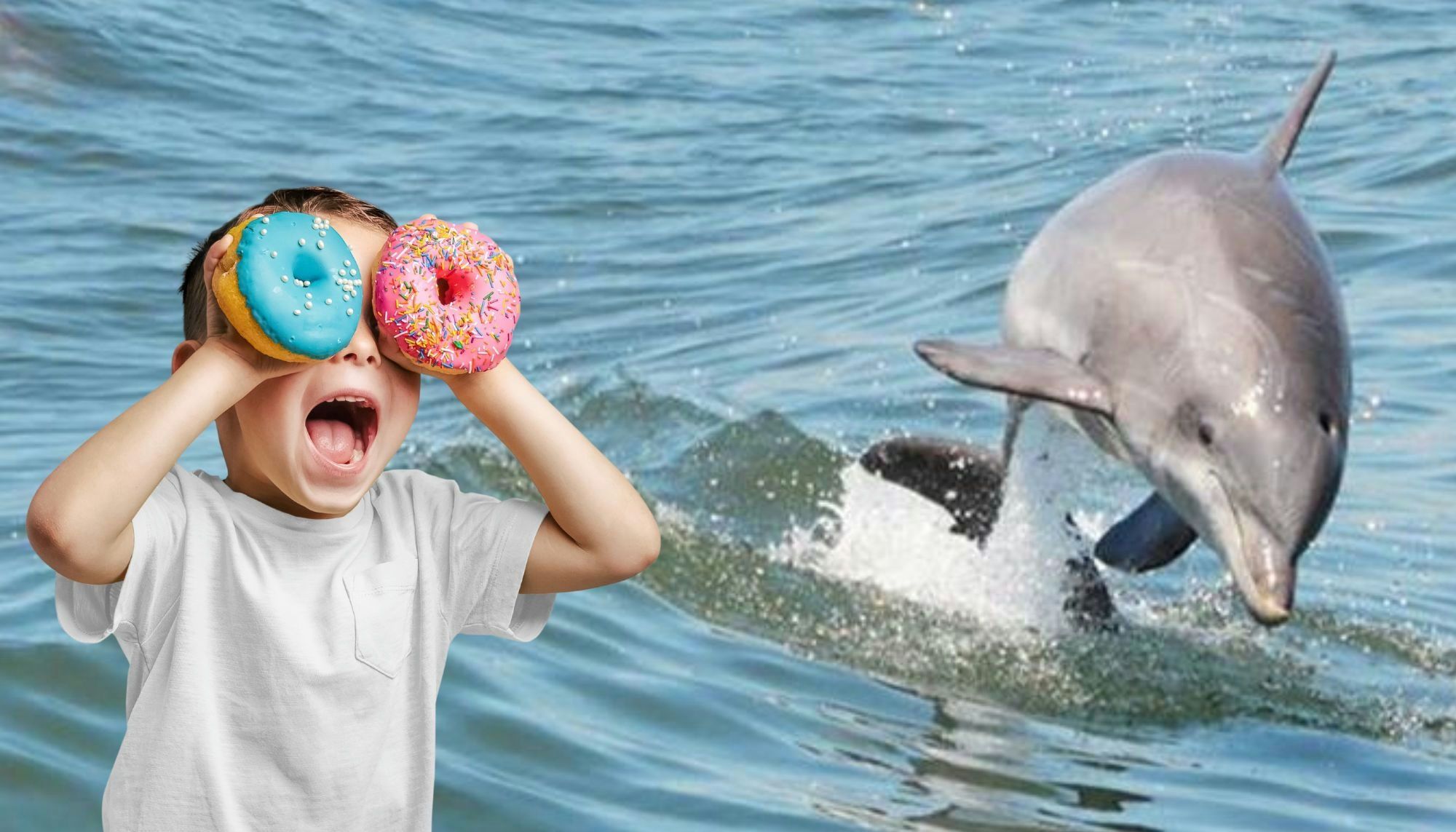 Donuts and Dolphins Cruise in Hilton Head