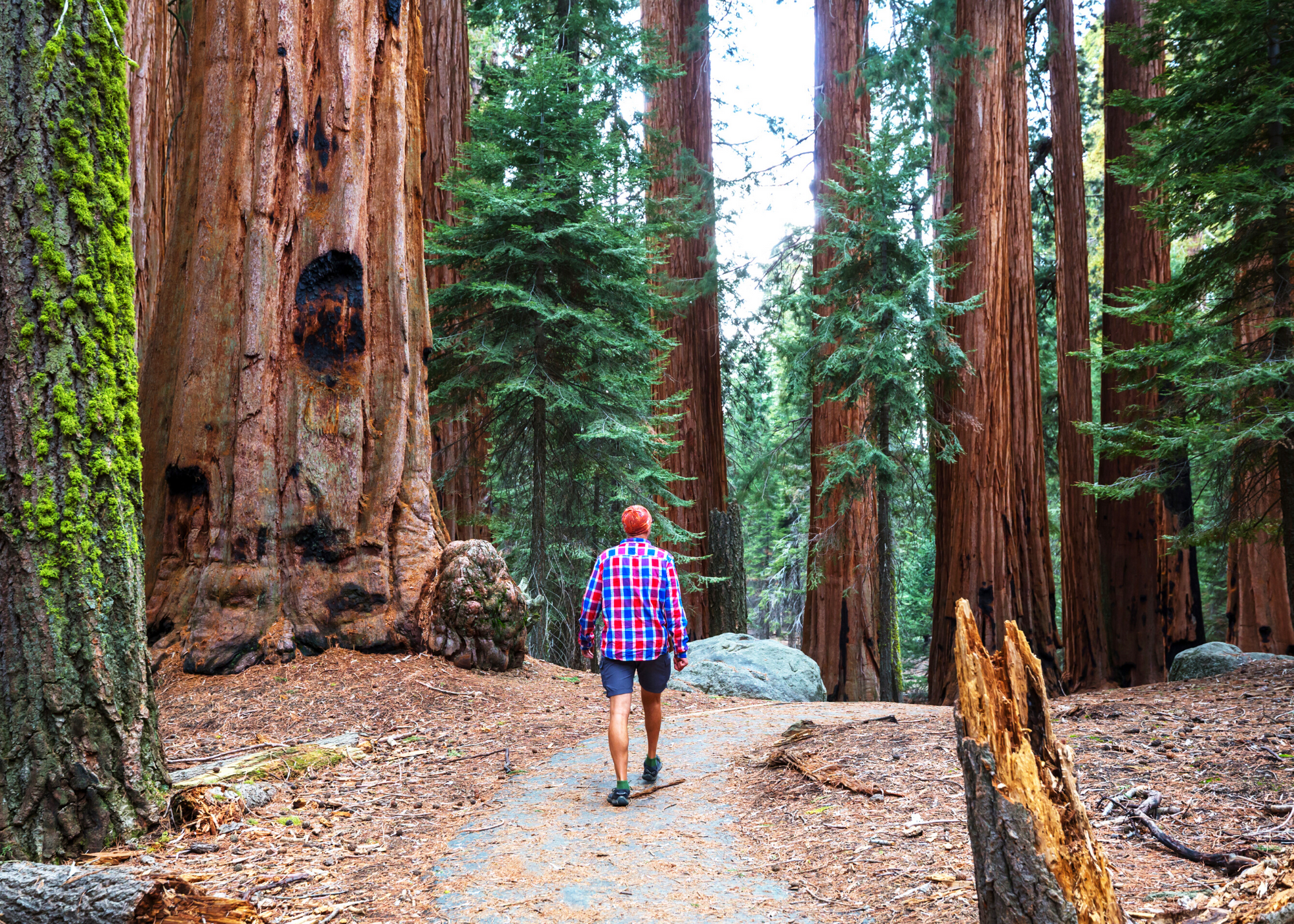 2-Day Yosemite Tour with Yosemite View Lodge Hotel Stay