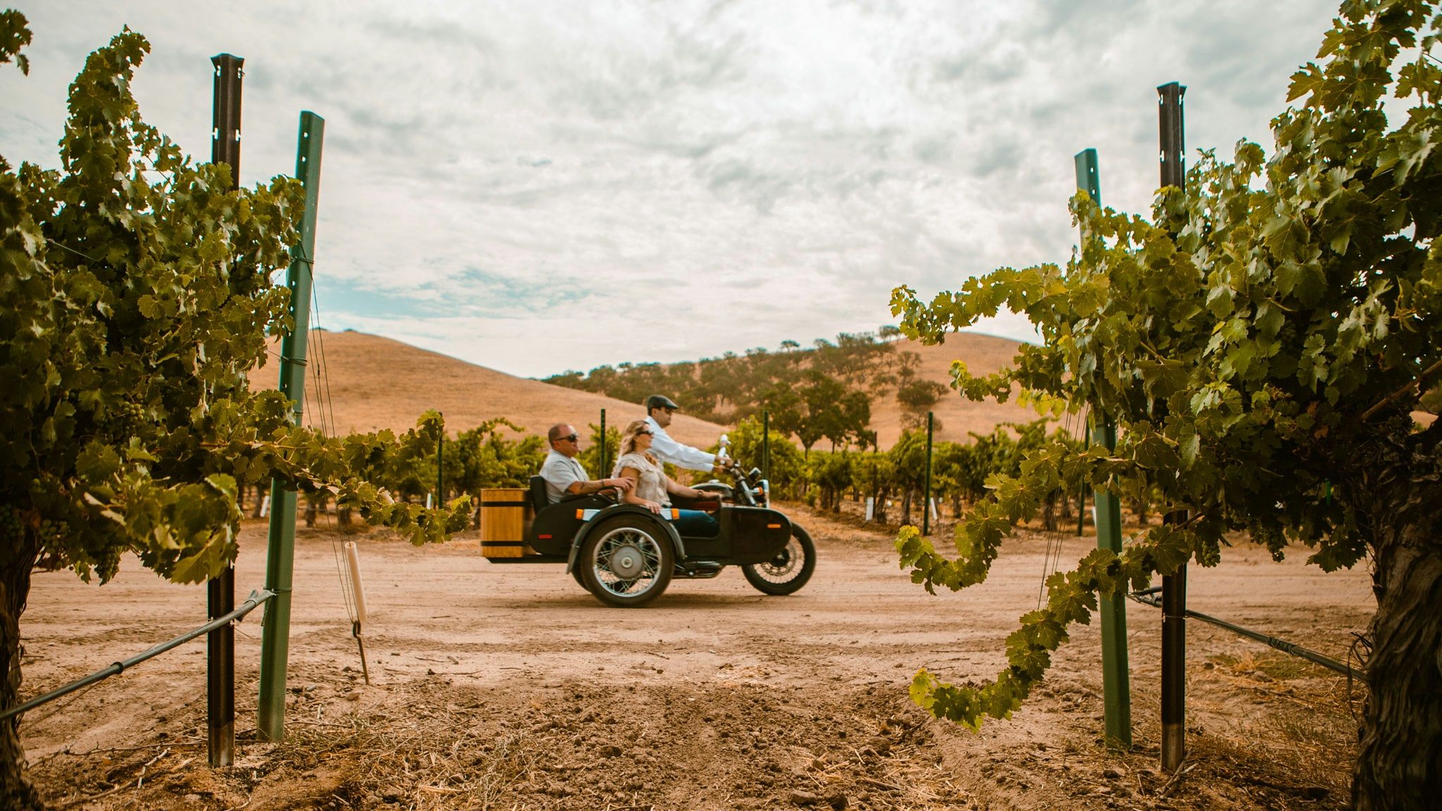 Vintage Sidecar Exploration of Paso Robles