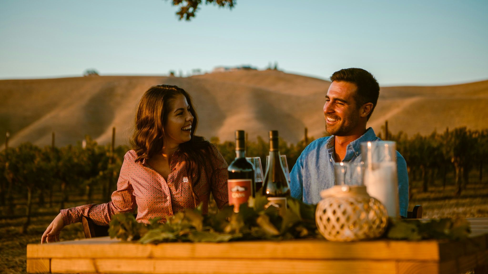Private Vineyard and Picnic Experience
