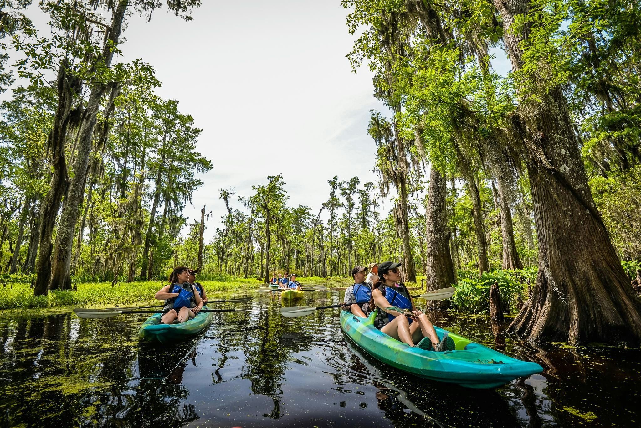 Manchac Magic Kayak Swap Tour