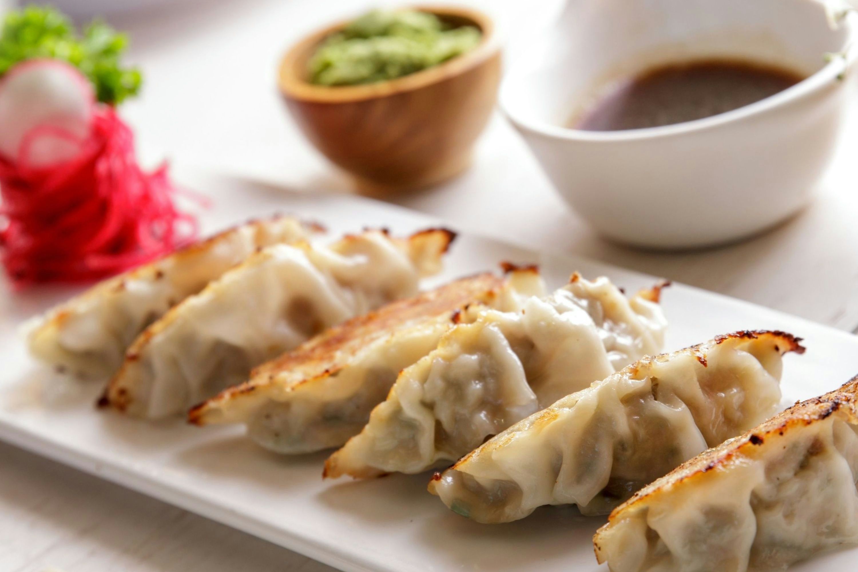 Dumpling Making Class in San Antonio