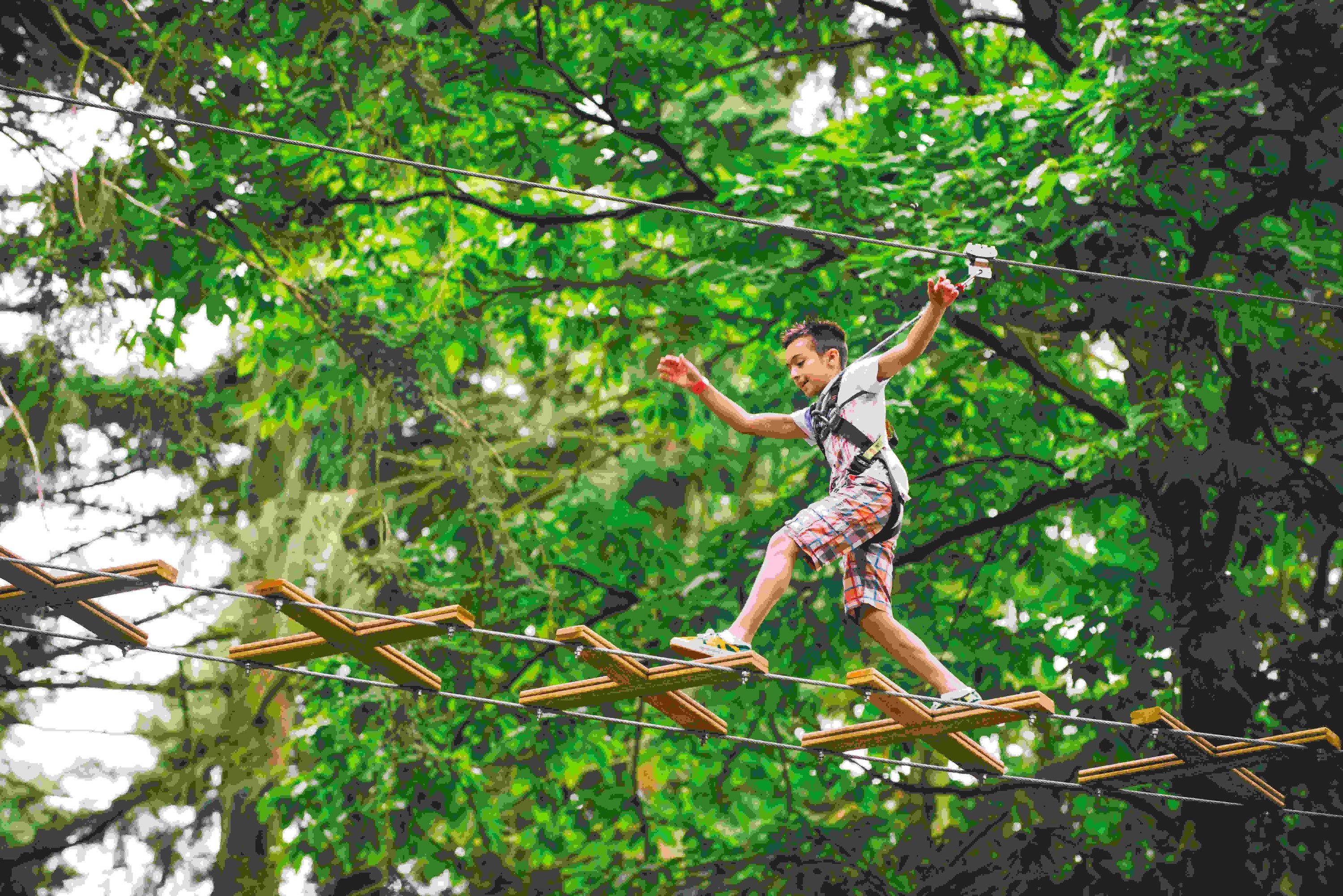 Houston Kids Treetop Journey with Go Ape