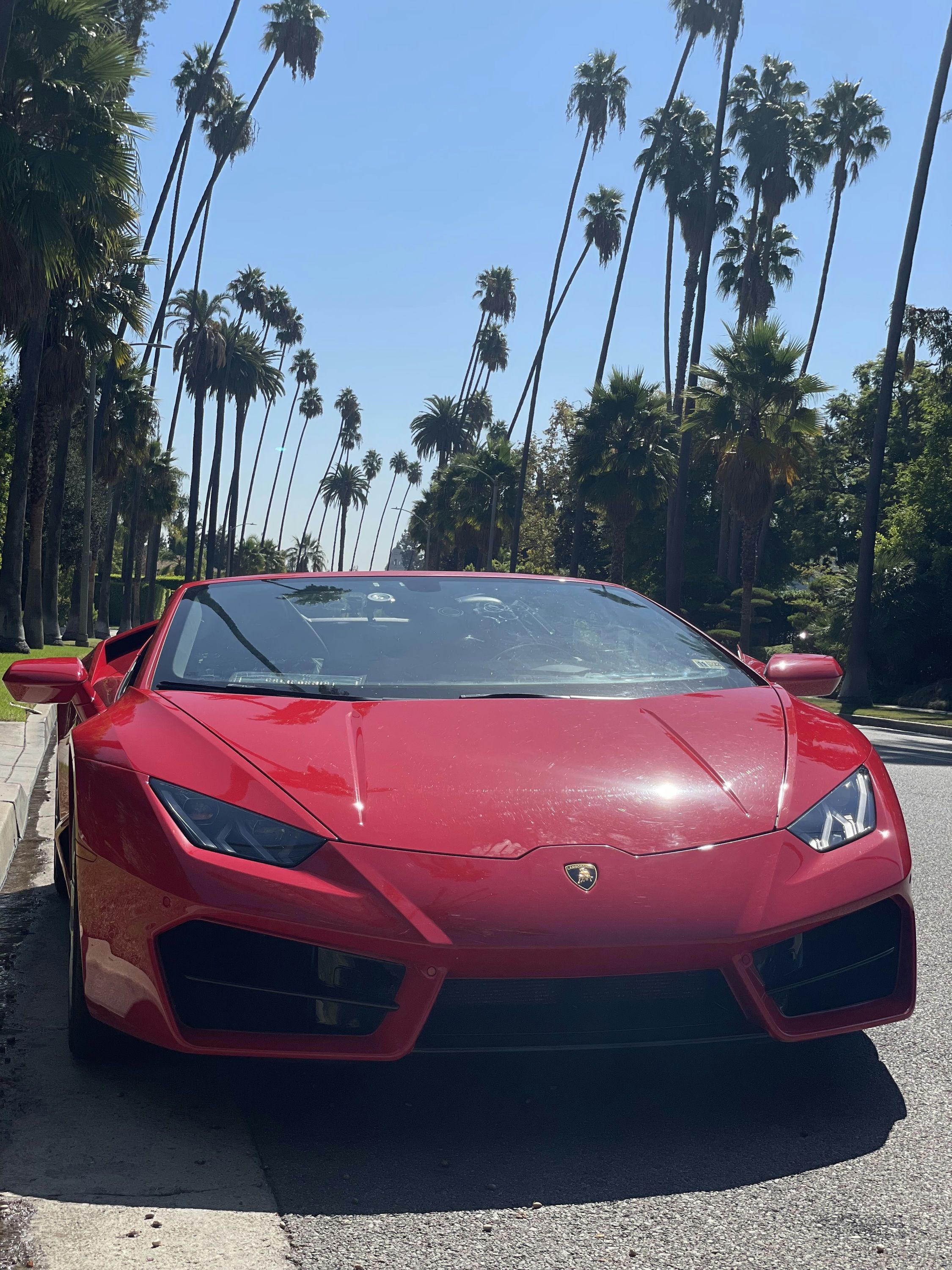 Ride or Drive a Lamborghini: 1-Hour Beverly Hills Tour