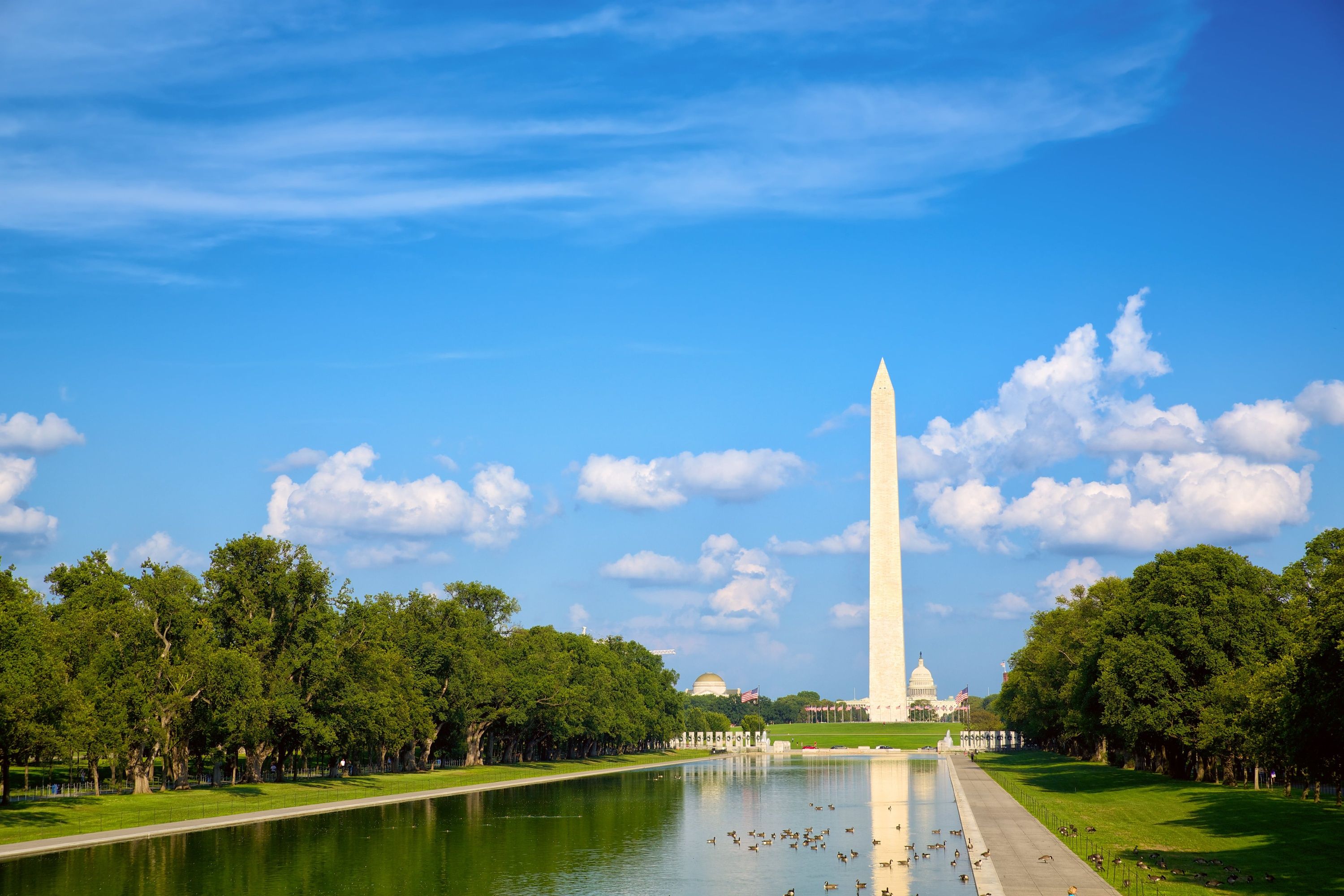 Questo City Exploration Game: Washington DC National Mall