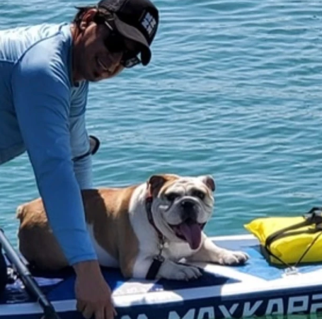 Paws & Paddle Board Rental on Biscayne Bay