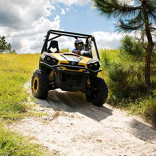 Guided Buggy Adventure in Clermont