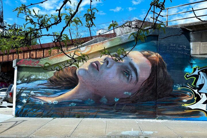 Chicago Fulton Market Graffiti & Murals Street Art Tour