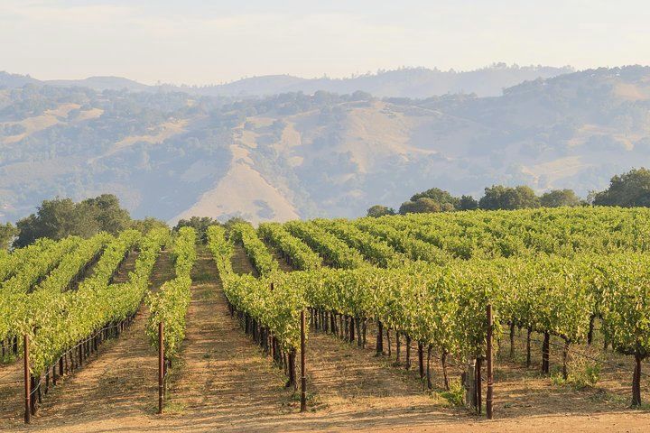Russian River Weekend Wine Tasting and 5-Course Wine-Paired Lunch