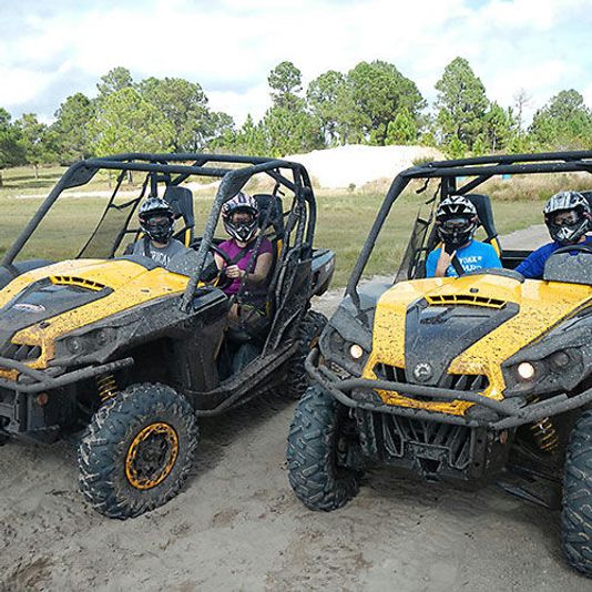 Guided Buggy Adventure in Clermont - Image 7