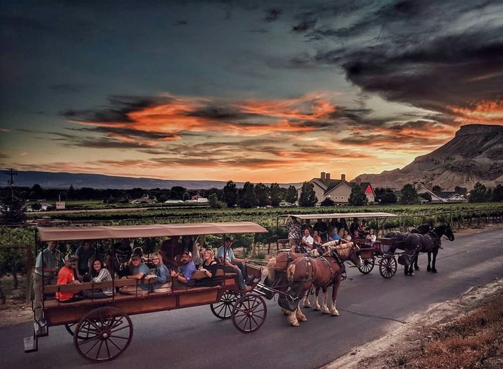 Horse-Drawn Sunset Tour in Palisade