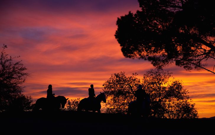 Evening Hollywood Horseback Riding Tour For 2 - Image 3