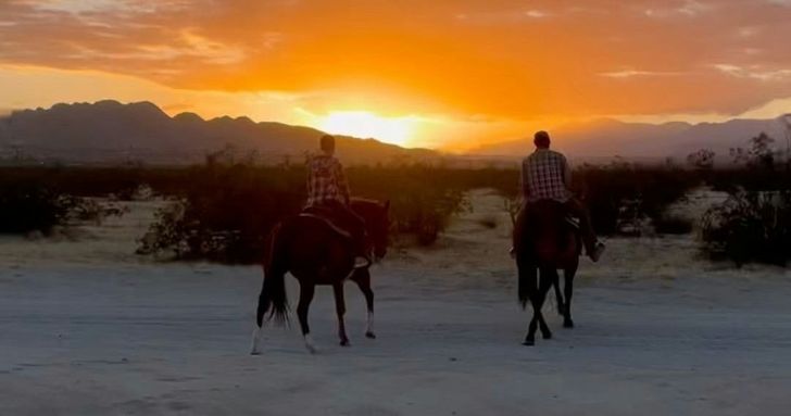 Joshua Tree Horseback Trail Ride - Image 2