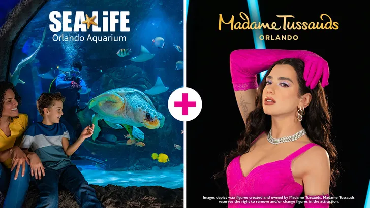 Madame Tussauds Orlando, SEA LIFE Aquarium and VR Experience Admission