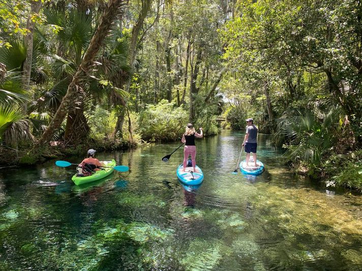 Manatees & Monkeys Clear Bottom Kayak Tour - Image 2