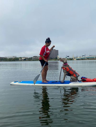 Paddle with Pups in Paradise - Image 2