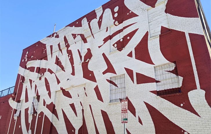 Washington DC Mural Tour of NoMa & Union Market - Image 2