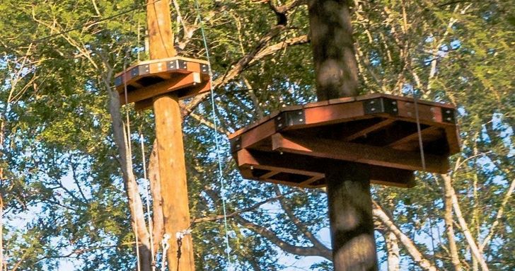 Aerial Challenge Adventure Course - Image 2