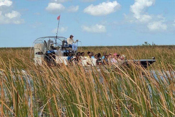 Everglades National Park Tour with Airboat Ride from Miami