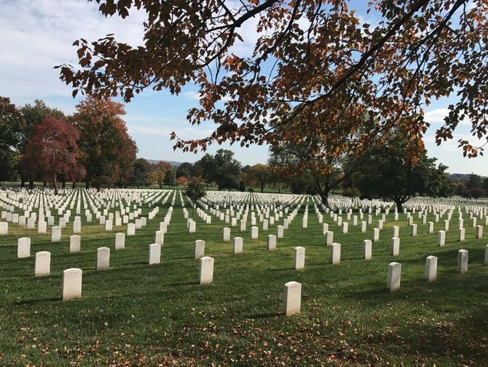 Private Arlington Cemetery Guided Walking Tour - Image 2