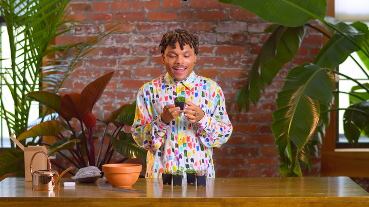 Design a Succulent Garden Virtual Workshop with Plant Kween - Image 2