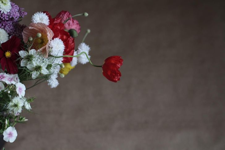 Dried Florals Workshop - Image 4
