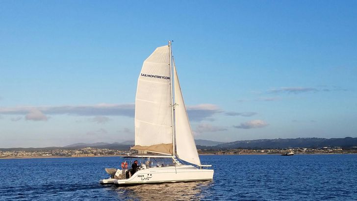Intro to Sailing - Image 3