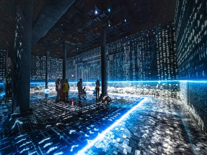 Admission to ARTECHOUSE NYC
