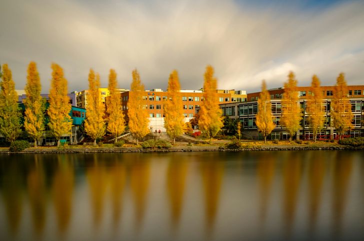 Seattle Fall Foliage Lunch Cruise - Image 2