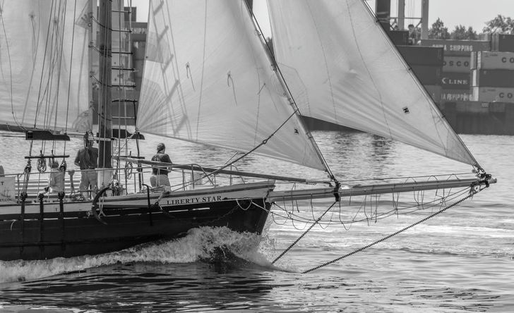 Boston Harbor Day Sail on a Classic Schooner - Image 3