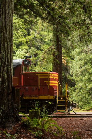 Historic Wolf Tree Turn Train Ride - Image 4