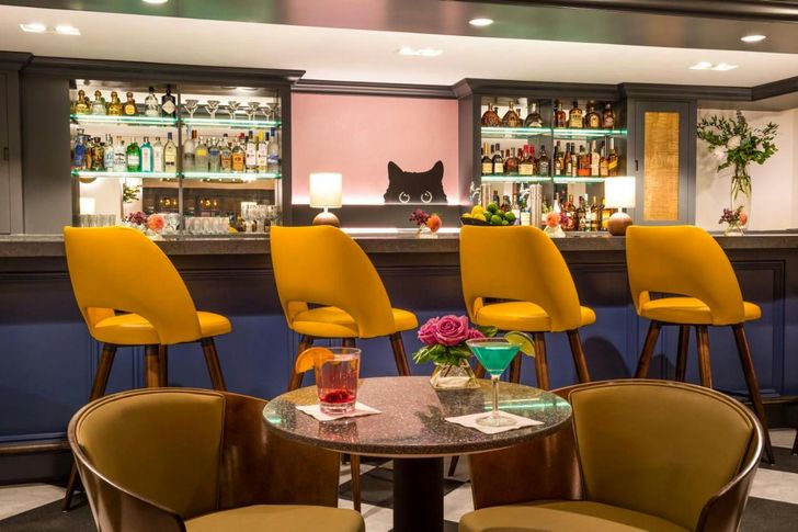 Denver Delight: Exclusive 1-Night Hotel Experience - Image 5