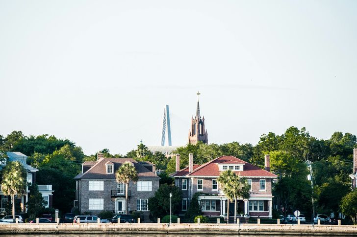 Daytime Dolphin Sail in Charleston - Image 6