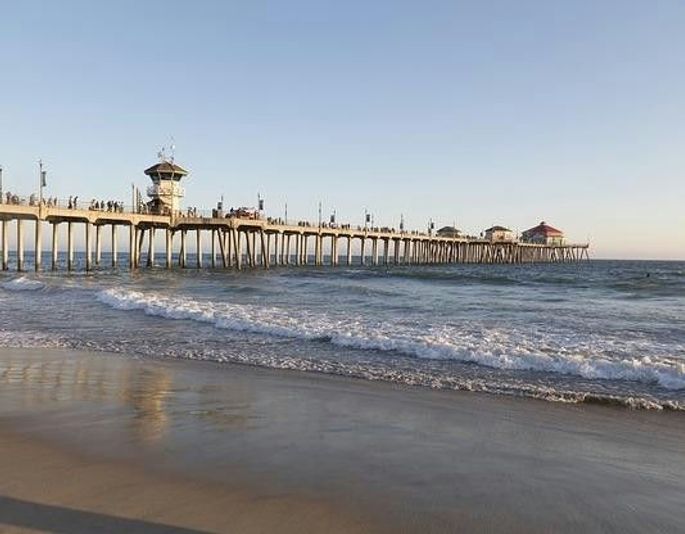 Whale Watching & Beach Tour from Anaheim - Image 4